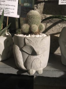 concrete flower pot cactus daachi 2019