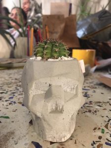 concrete skull flower pot daachi 2019