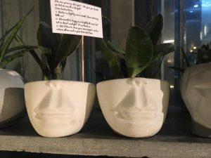 face flower pots concrete daachi 2019