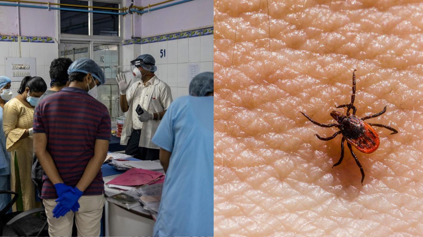 First death from Congo virus fever reported in Sindh