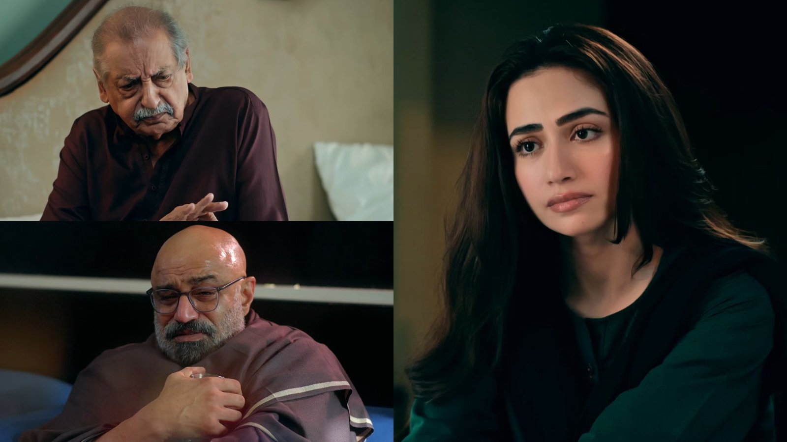 “Yeh uski izzat krta, baap ki jagah rakhta hai; nhi chahta tumhe koi ikhtelaf ho”: Dada Jee urges Ansa to stand by husband amidst legal turmoil in Bas Tera Saath Ho